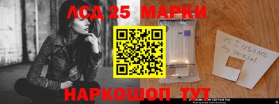 метадон Гусев